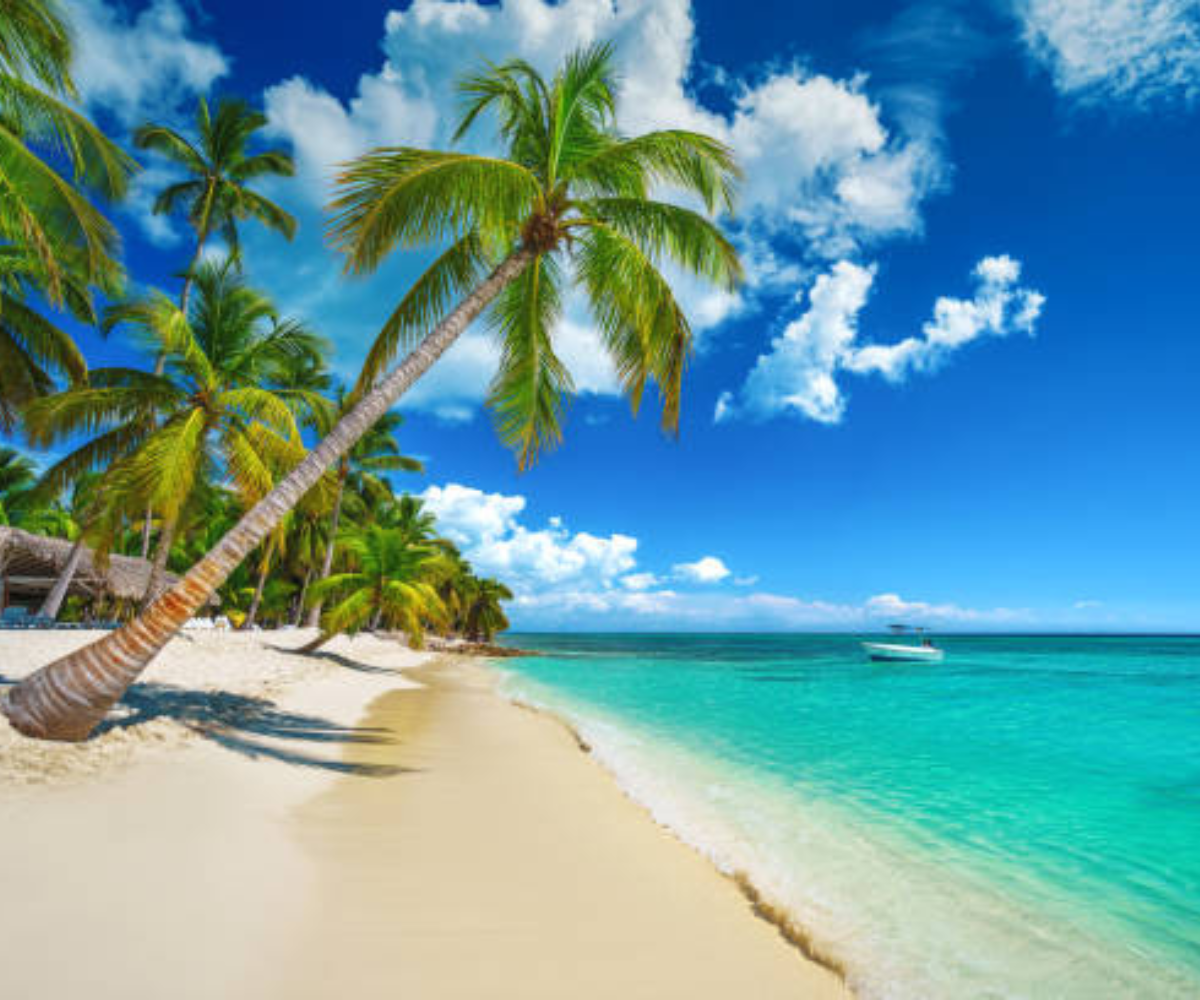 Caribe - Punta Cana - Imagen 3
